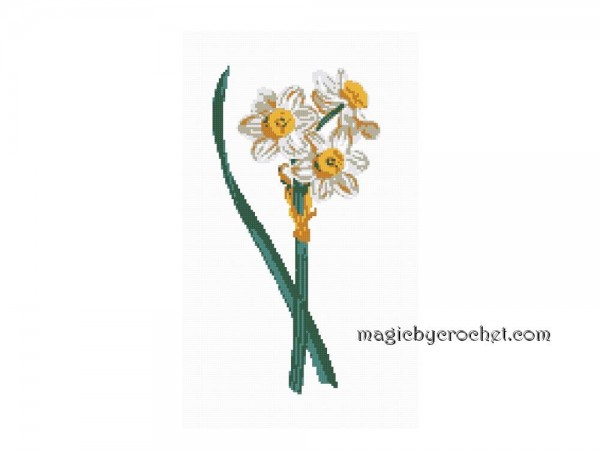 Antique Botanical Plate - Daffodils , Cross Stitch Pattern, PDF counted chart, No.104